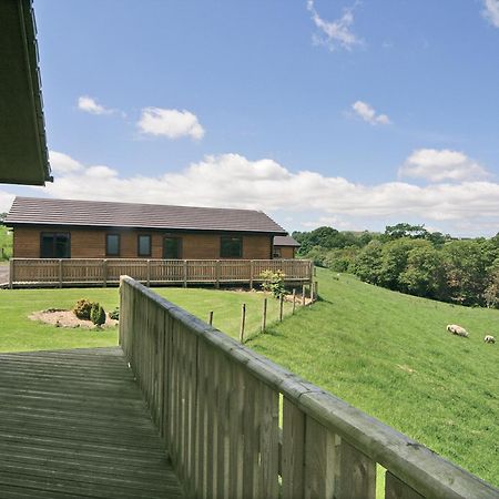 Woodside Lodge - Hw7520 Penybont エクステリア 写真